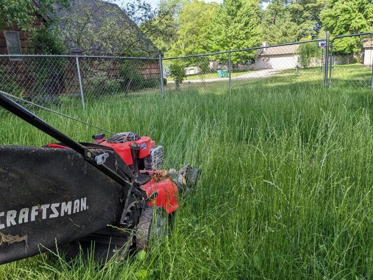 You Are Mowing Too Infrequently