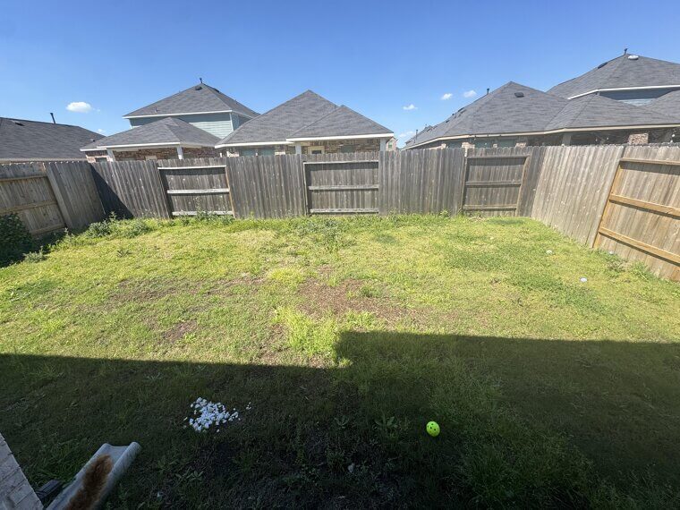 Your Lawn Needs More Sun Than It Gets