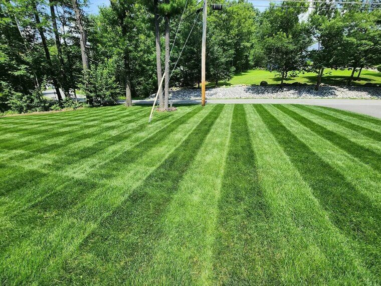 You Are Expecting Instant Results