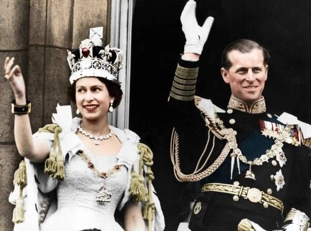 Royal Blood Bags