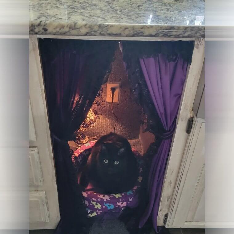 Build a Private Cat Bed