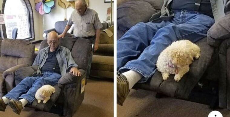 "Hold On, Let's Ask The Boss..."