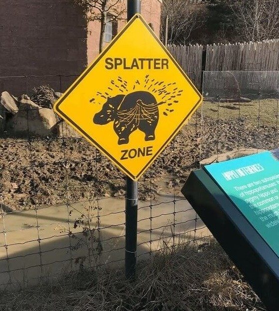 Wear White Clothes To This Zoo At Your Peril