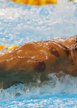 3 Olympische Medaillengewinner, die die ganze Welt bewundert