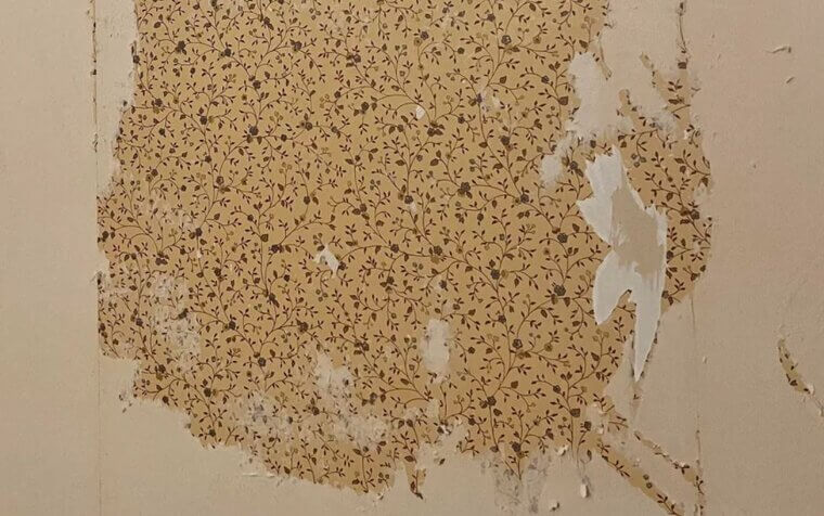 Peeling Wallpaper
