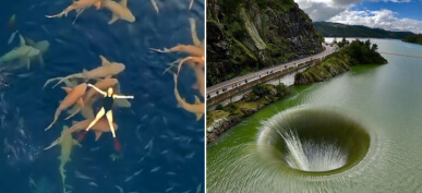 50 Photos Taken From Drone That Reveal More Than Expected