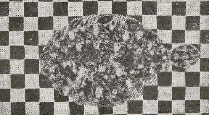 Flounders Can Camouflage With Checkerboards