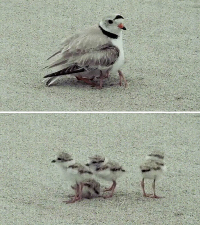 When Your Pronoun Is "They/Them"