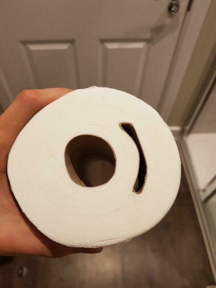 The Mutant Toilet Paper Roll of Doom