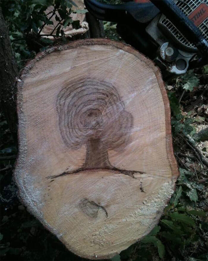 Making a New Tree by Cutting One Down?