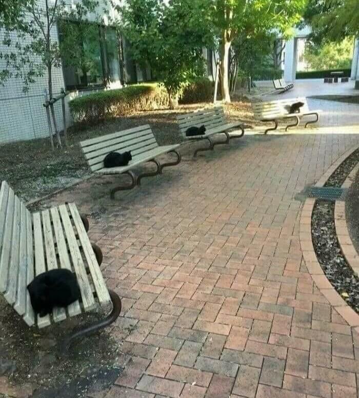 There’s Something About This Photo That Feels Cursed