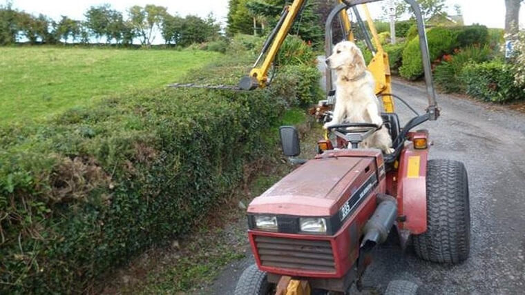 Hard Work Is Never Done