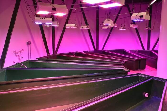 Self-Sustainable Bunker