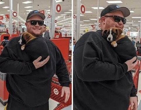Your Sweater's Hood Was Actually Made to Hold Cute Puppies