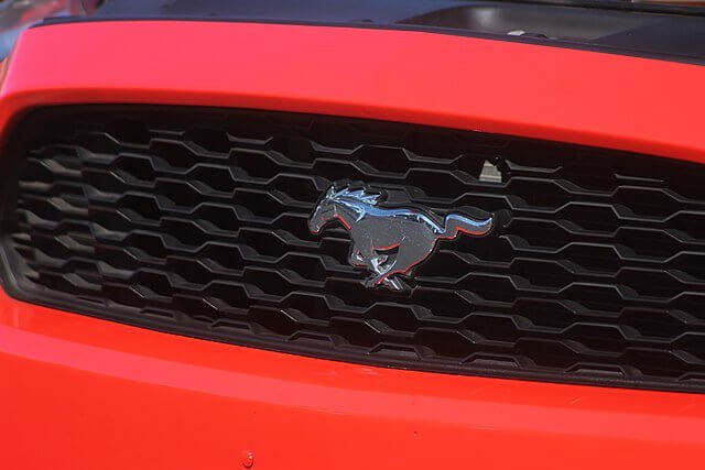 車のグリルに虫がつくことはありません。