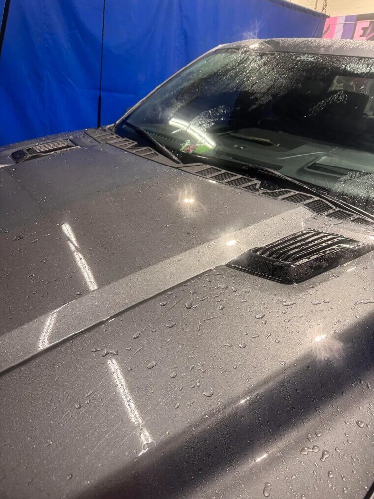 Mandatory Paint and Fabric Protection