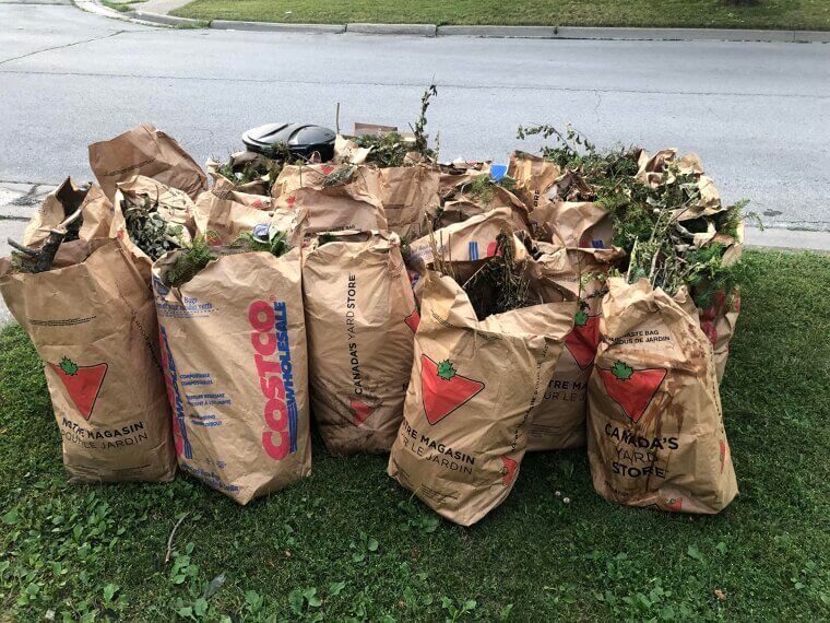 Mixing Yard Waste With Trash