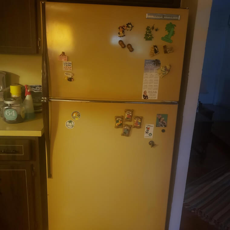 The Harvest Gold Refrigerator