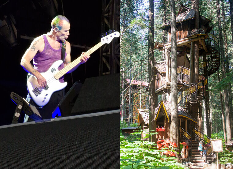 Flea and His Architectural Treehouse Compound