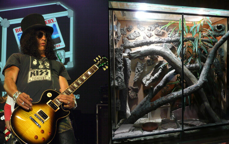 Slash and His Custom Reptile Terrarium Room