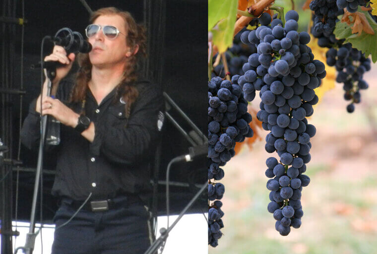 Maynard James Keenan and His Sprawling Private Vineyard
