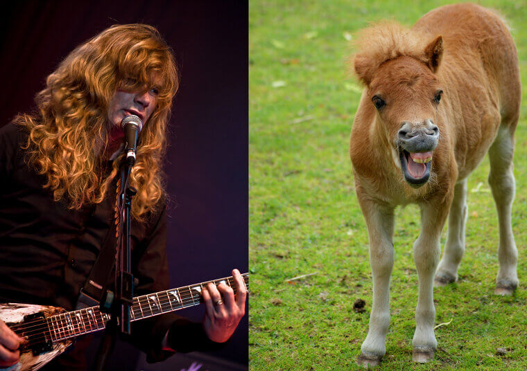 Dave Mustaine and His Miniature Horse Farm