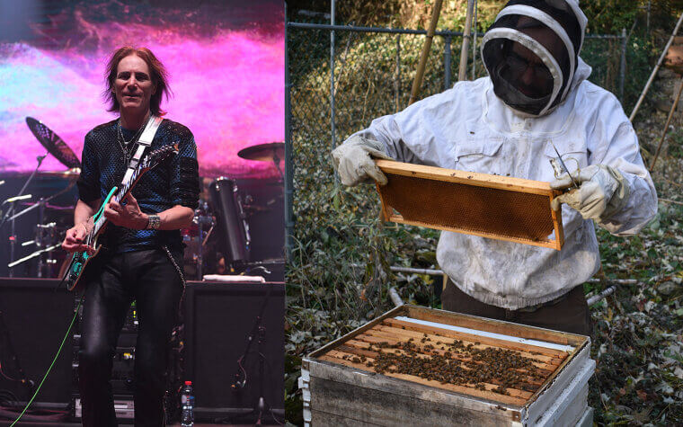 Steve Vai and His Beekeeping Backyard Setup