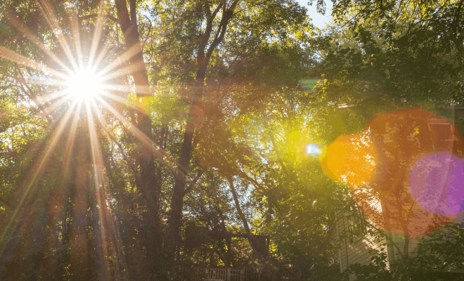 The Role of Sunlight and Nature in Well-Being