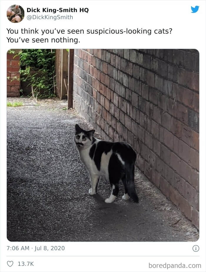 Is That Charlie Catlin?