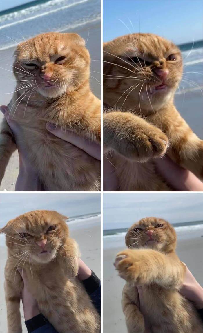 When You Don't Get The Treats You Like