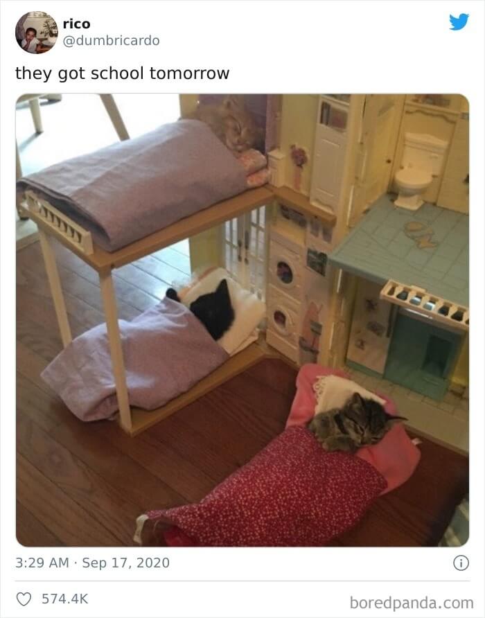 Destroyed The House, Time for a Nap Now