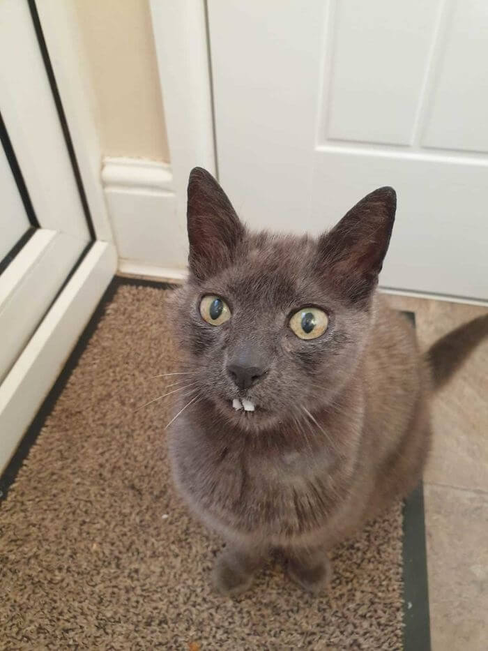 "To Catch A Rabbit, First One Has To Think Like A Rabbit