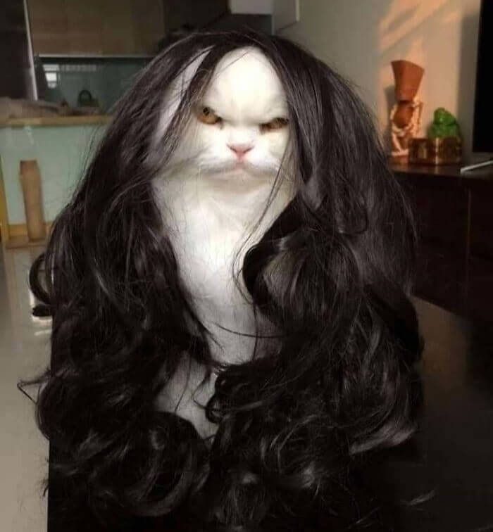 Revenge Will Be Mine