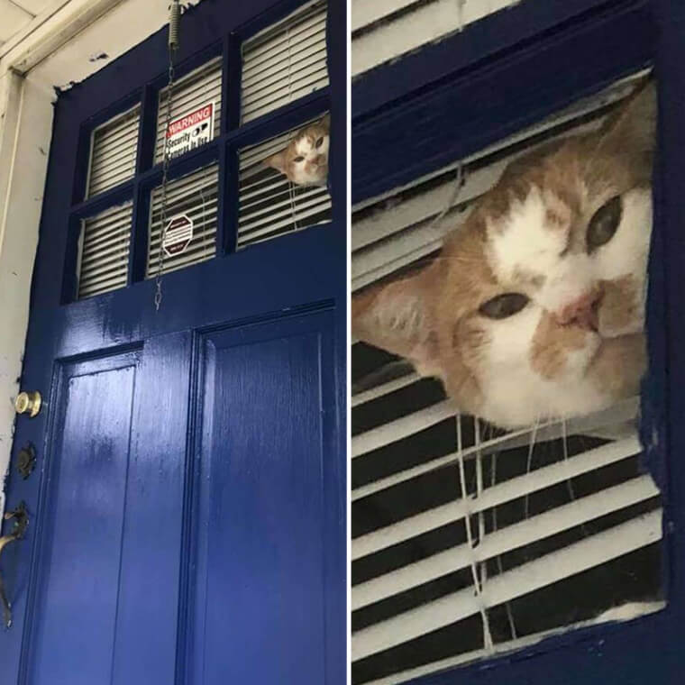 "You Need a High Five In The Face With A Hammer"