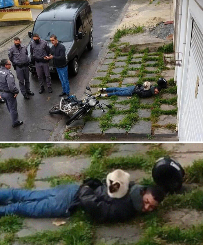 "If Not For Sits, Why Is It Made of Warm?"