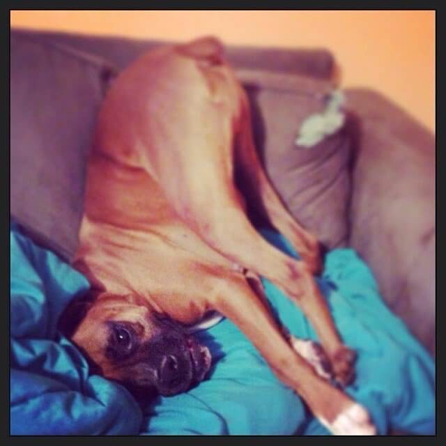 Comfortable Anywhere