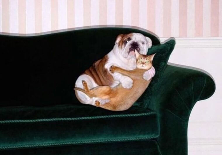 It's Not What It Looks Like