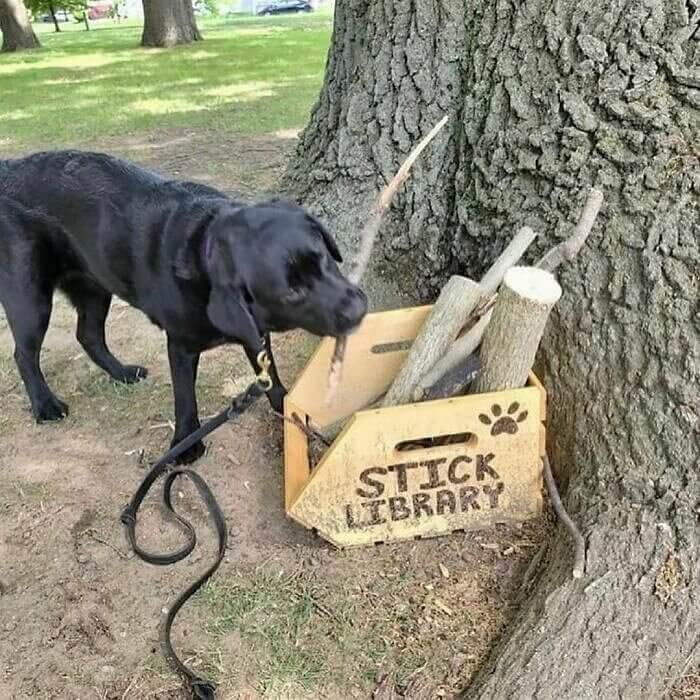 Stick Library