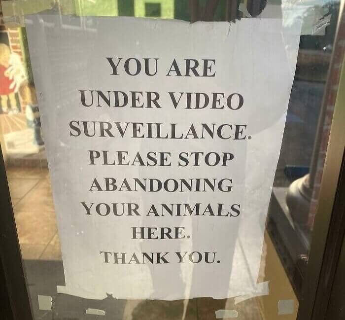 A Veterinarian's Office Is Not The Same As An Animal Shelter