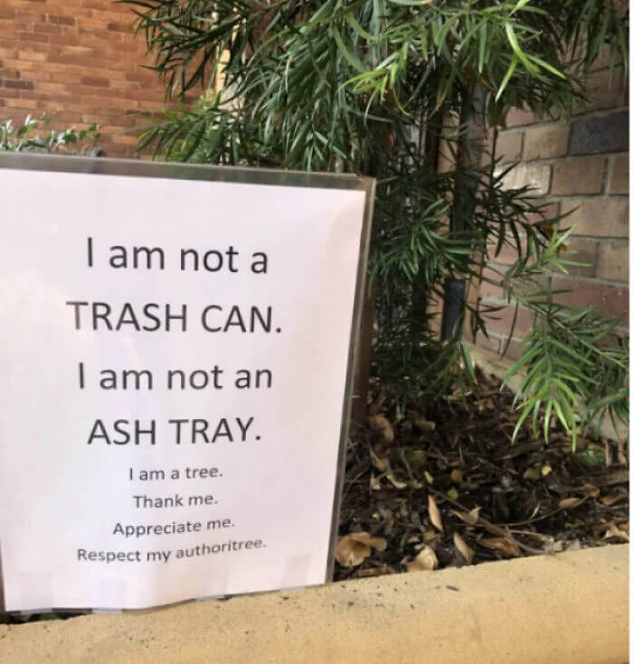 No Tree Deserves To Have Trash Thrown At It