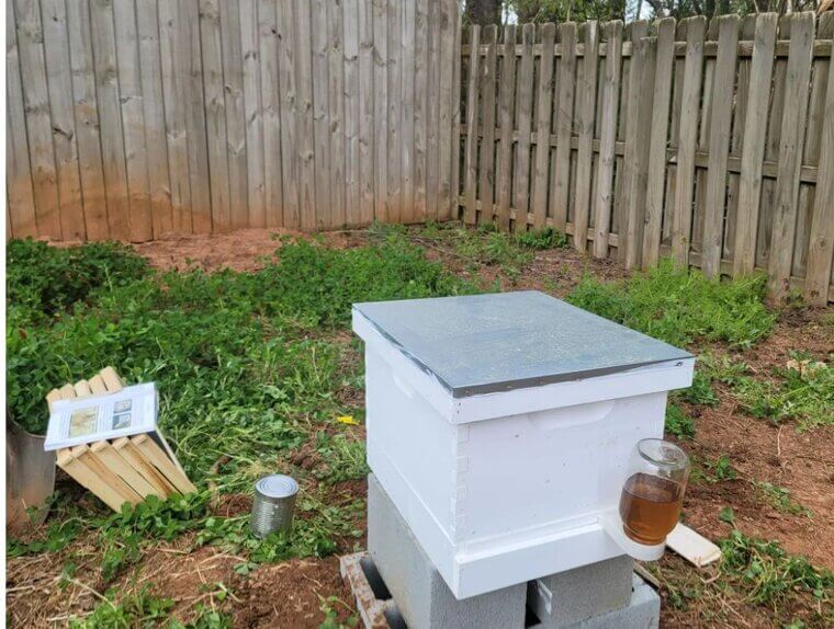 Beehive Installation