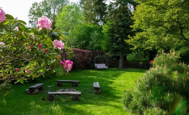 Everyday Backyard Upgrades That Could Get You Fined