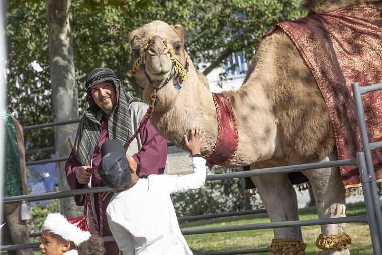 No Camel Parking on Main Street (Nevada)