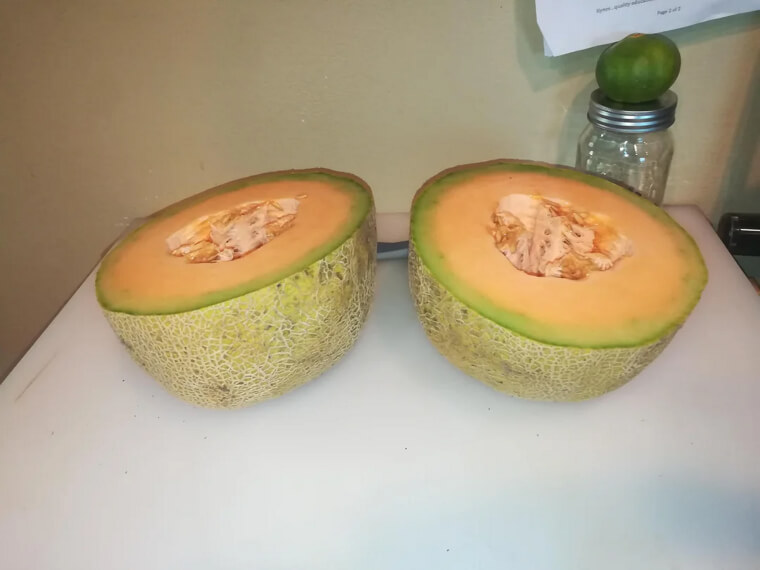 Cantaloupe for Refreshing Hydration