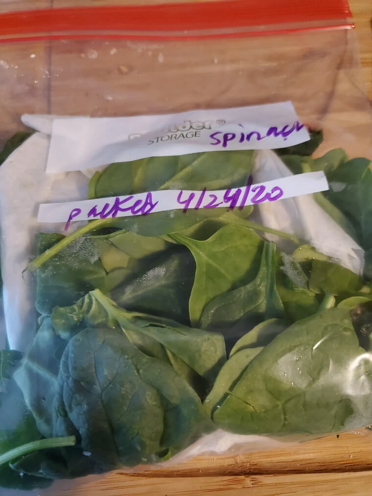 Wilted Spinach for Gentle Nutrients