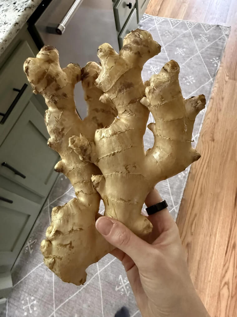 Ginger to Calm an Upset Stomach