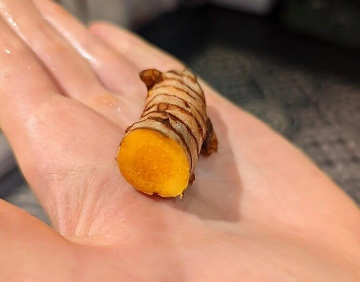 Turmeric to Calm Heavy Meals