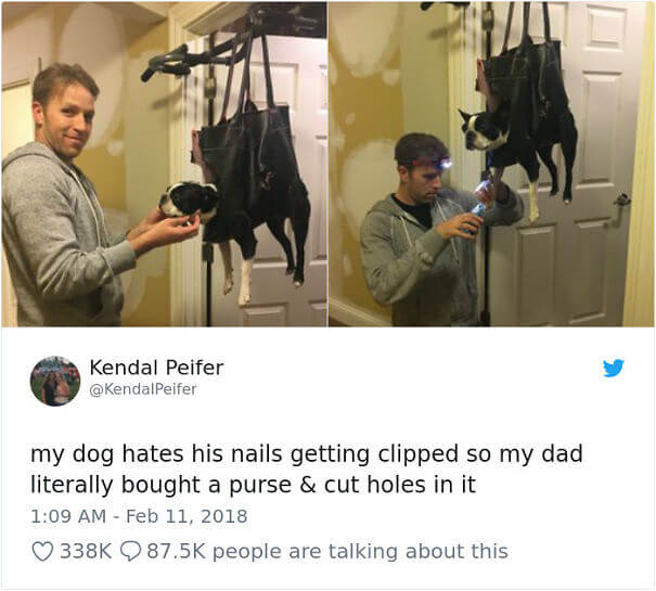 No Chase Pedicure