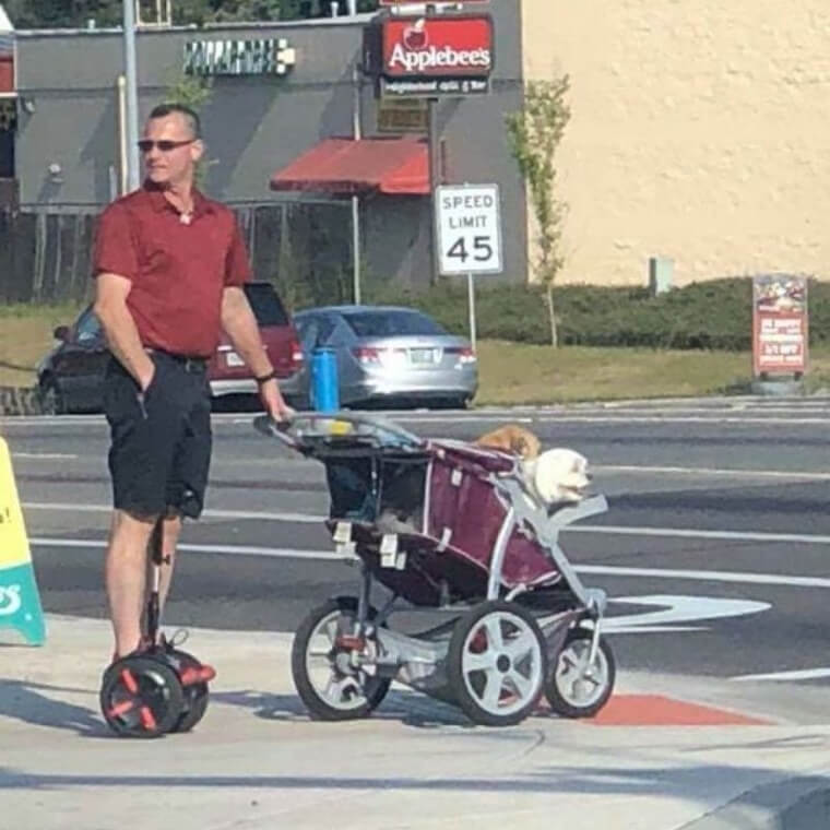 The Apples Don't Fall Far From the Tree