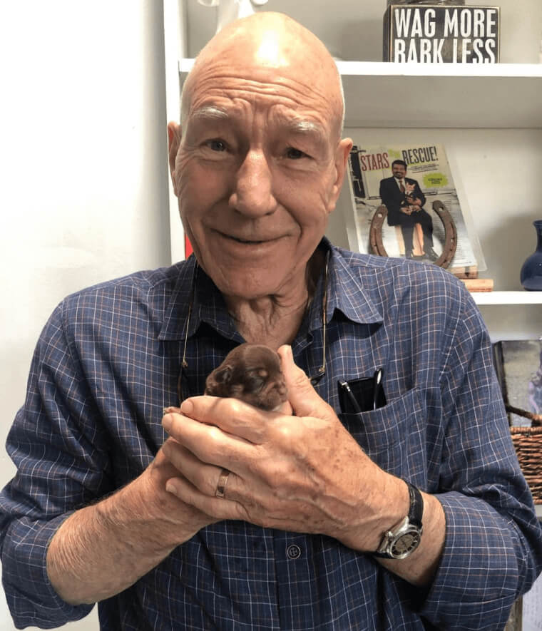 Patrick Stewart